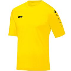 Maglia Calcio/Pallamano Jako TEAM Manica Corta