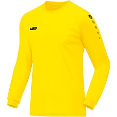 Maglia Calcio Jako TEAM Manica Lunga