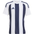 Maglia Calcio Adidas STRIPED 24 JERSEY Manica Corta