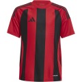 Maglia Calcio Adidas STRIPED 24 JERSEY Manica Corta