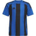 Maglia Calcio Adidas STRIPED 24 JERSEY Manica Corta