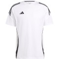 T-Shirt Adidas TIRO 24 SWEAT TEE Manica Corta