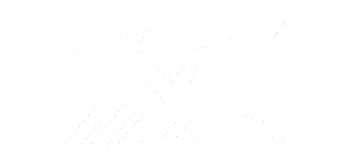 Mizuno